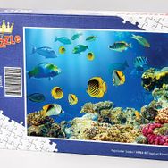 King Of Puzzle Tropikal Balıklar 500 Parça Puzzle