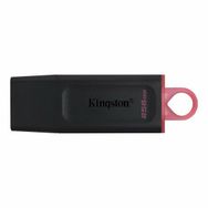 Kingston 256 gb USB 3.2 Datatrvex Dtx 256 gb Usb Bellek