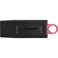 Kingston Exodia 256GB USB3.2 Gen 1 USB Bellek