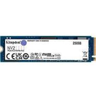 Kingston SNV2S/250G 250 GB RAM