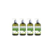 Kırlangıç 4x400 ml Zeytinyağlı Vegan Sıvı Sabun
