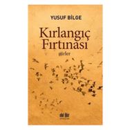Kırlangıç Fırtınası - Yusuf Bilge