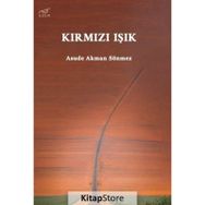 Kırmızı Işık Asude Akman Sönmez