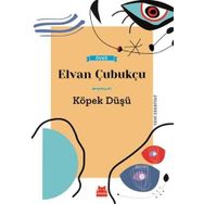 Kırmızı Kedi Yayınevi Elvan Çubukçu Köpek Düşü