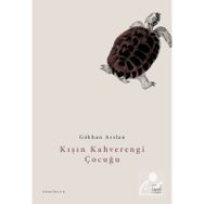 Kışın Kahverengi Çocuğu - Gökhan Arslan