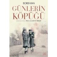 Kitap İthaki Yayınları Günlerin Köpüğü