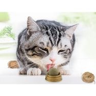 Kitchen Kedi Nanesi Cat Mint Oyun Topu