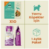Kito Fresh 2.5 kg 10 Adet Levrek Etli Yavru Köpek Maması