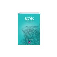 Kök Işık Gürer AYA KİTAP