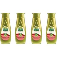 Komili Normal Saçlar İçin Zeytinyağlı 4x500 ml Şampuan