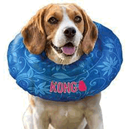 Kong XS Şişme Yakalık Köpek Koruyucu