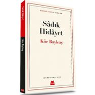 Kör Baykuş Kırmızı Kedi Yayınevi