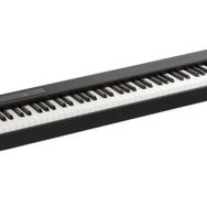 Korg D1 Dijital Piyano