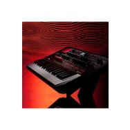 Korg Modwave Synthesizer