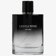 Koton Centle Wind EDT 100 ml Erkek Parfüm