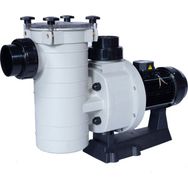 Kripsol Kaprı-Kap Seri 2.5 HP Monofaze Pool Pump Havuz Pompası