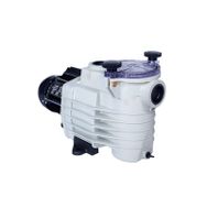 Kripsol ONDINA-OK 1 HP Monofaze Havuz Pompası