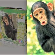 KS Games 100 Parça Animal Planet Baby Chimp Puzzle