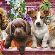 KS Games 1000 Parça Yavru Köpekler Panorama Puzzle