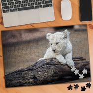 KS0001256 Beyaz Kaplan Vahşi Hayvan 240 Parça Puzzle Yapboz