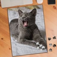 KS001102 Gri Tüylü Esneyen Kedicik 240 Parça Puzzle Yapboz