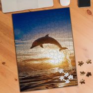 KS699479 Denizdeki Sevimli Yunus Balığı 240 Parça Puzzle Yapboz