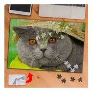 KS70340 Yaramaz Sevimli Kedi Scottish 240 Parça Puzzle Yapboz