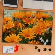 KS70396 Turuncu Kır Çiçekleri 240 Parça Puzzle Yapboz