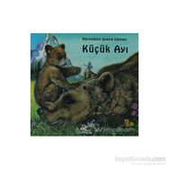 KÜÇÜK AYI - GENEL