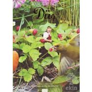 Küçük Bir Düş - Lori Evert