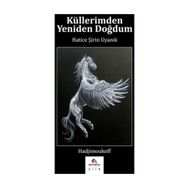 Küllerimden Yeniden Doğdum - Hatice Şirin Uyanık