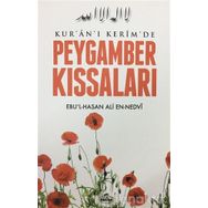 Kur'an-ı Kerim'de Peygamber Kıssaları - Ebu'l Hasen Ali En-Nedvi