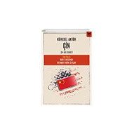Küresel Aktör Çin: Çin-ABD Rekabeti Nika Yayınevi
