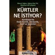 Kürtler Ne Istiyor? - Mesut Yeğen