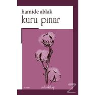 Kuru Pınar - Hamide Ablak