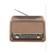 Leader LR-243 Retro Müzik Kutusu