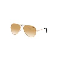 Lee Cooper LC 1223 COL 03 54-17-140 Unisex Güneş Gözlüğü