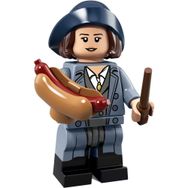 Lego 71022 Fantastic Beasts Tina Goldstein Minifigures
