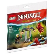Lego Ninjago 30650 Renkli Kai And Raptons Temple Battle