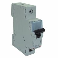 Legrand 629000 10A Karyum Monofaze Pako Şalter