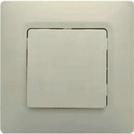 Legrand Salbei Bej Anahtar