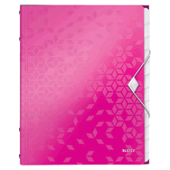 Leitz 46330023 WoW 12 Facher Dosyalar