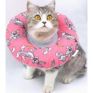 Lepus Pembe Small No:6 Kedi Köpek Yakalık