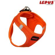 Lepus Turuncu Köpek Göğüs Tasması
