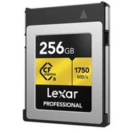 Lexar 256 Gb Professional Cfexpress Type-B 1750 Mb/S Hafıza Kartı
