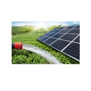 Lexron 10 HP Dalgıç Pompa Tarımsal Sulama Sistemi