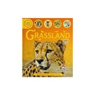 Life Cycles - Grassland - Sean Callery David Burnie