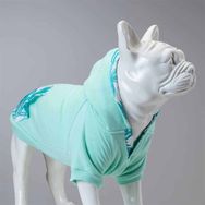 Lindo Dogs 6 Beden Mint Green Köpek Sweatshirt