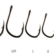 Lineaeffe Carp Hook Rıng Black 1-0 İğne