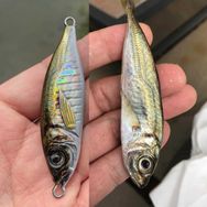 Little Jack Metal Adict 06 20 gr Jig Yem